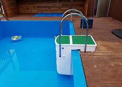 Swimming pool filtration system